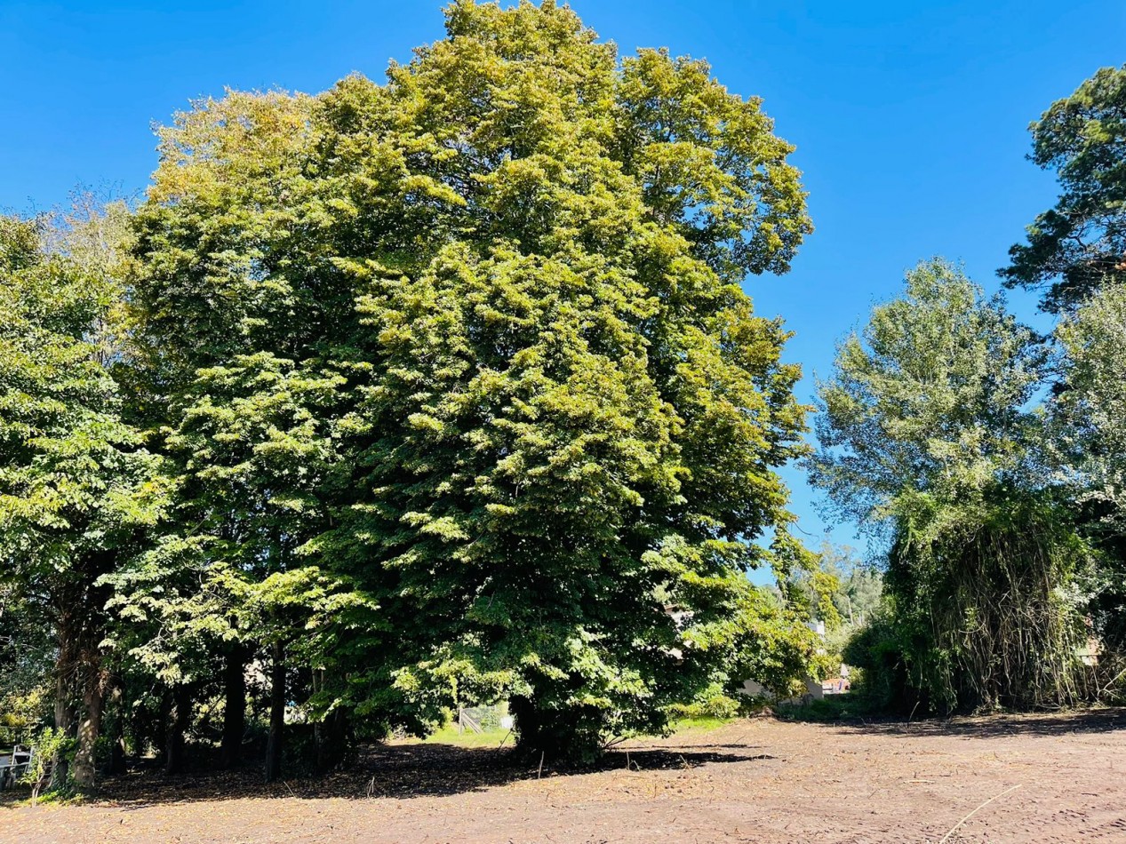 En venta terreno en Sierra de los Padres
